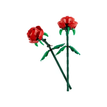 Les roses - Botanicals