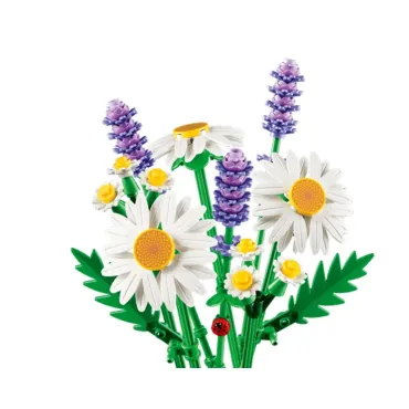 Marguerites - Botanicals