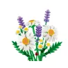 Marguerites - Botanicals