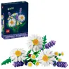 Marguerites - Botanicals
