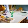 Marguerites - Botanicals