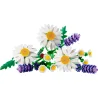 Marguerites - Botanicals
