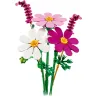 Les cosmos - Botanicals