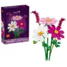 Les cosmos - Botanicals