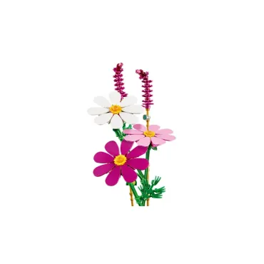 Les cosmos - Botanicals