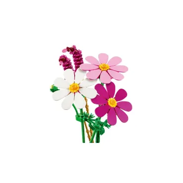 Les cosmos - Botanicals