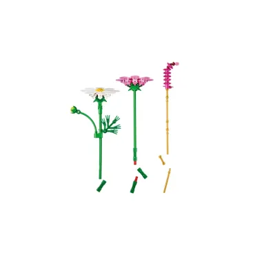 Les cosmos - Botanicals
