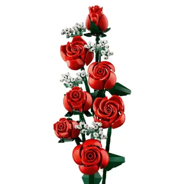 Le bouquet de roses - Botanicals