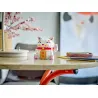 Le chat porte-bonheur
