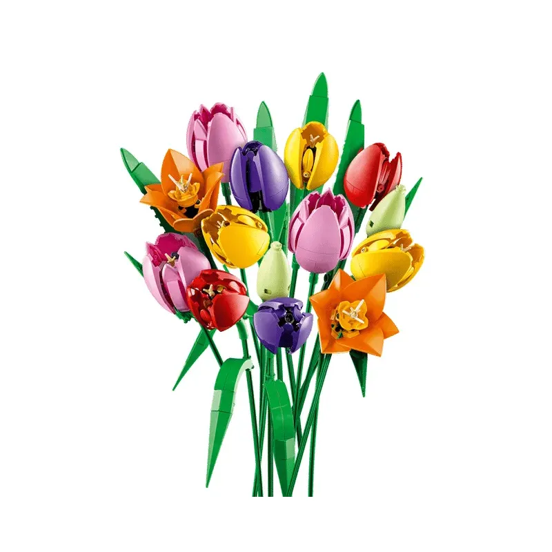 Le bouquet de tulipes - Botanicals