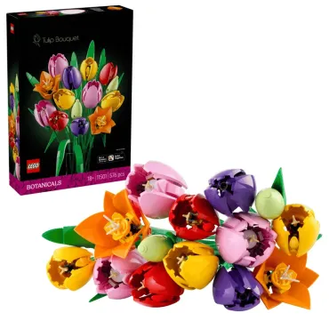 Le bouquet de tulipes - Botanicals
