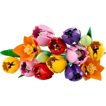Le bouquet de tulipes - Botanicals
