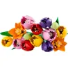 Le bouquet de tulipes - Botanicals