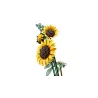 Le bouquet de tournesols - Botanicals