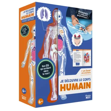 Auzou lab' - Je découvre le corps humain