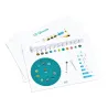 Tongue drum 8" (20 cm) en métal – 11 notes